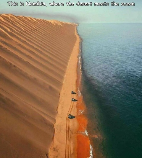 ナミビアの砂漠の海に面しているところ