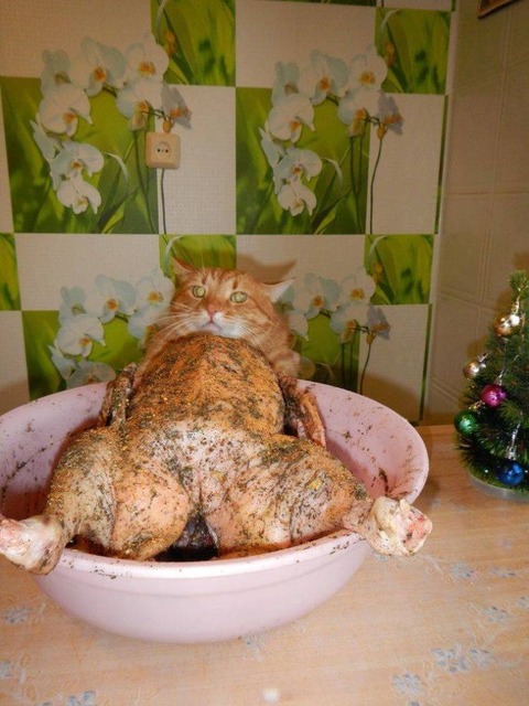 食う者？食われる者？