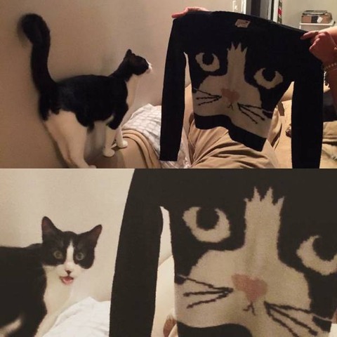 お前の顔のセーター