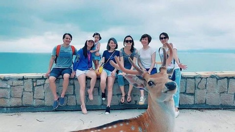 鹿がしっかり映った記念写真。