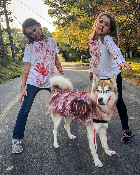 ハロウィンのコスプレをする二人の少女とイヌ