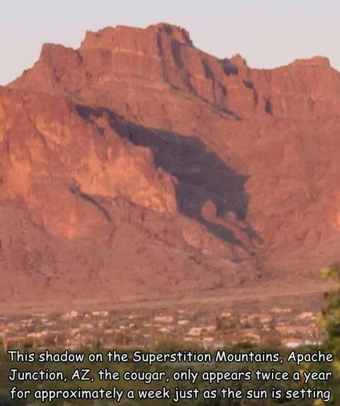 山肌の影がクーガーに見える奇跡…ｗ！！