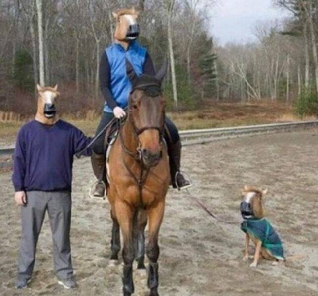 【画像】ウマが馬に乗ってお散歩に行くシュールな一場面。