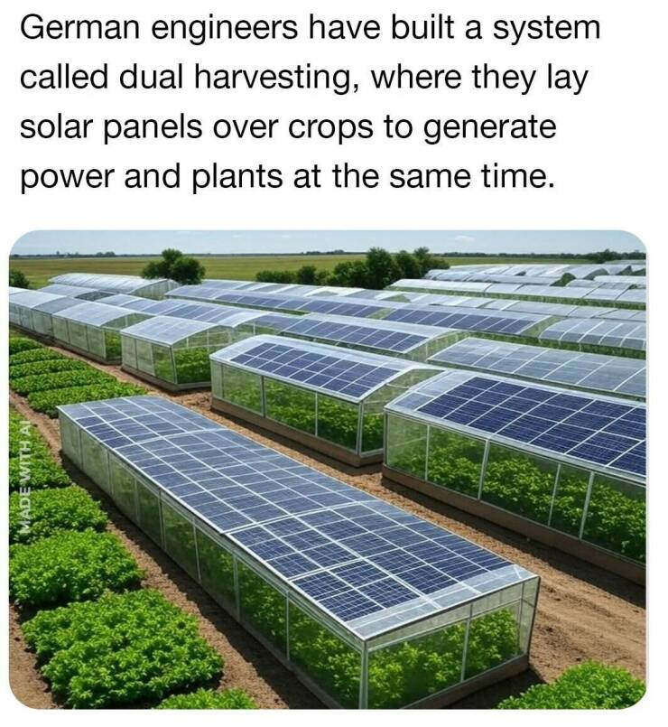 【画像】ドイツ人技師が発明したというソーラーパネル付きの温室