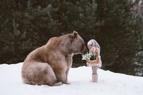 クマに花を送る少女