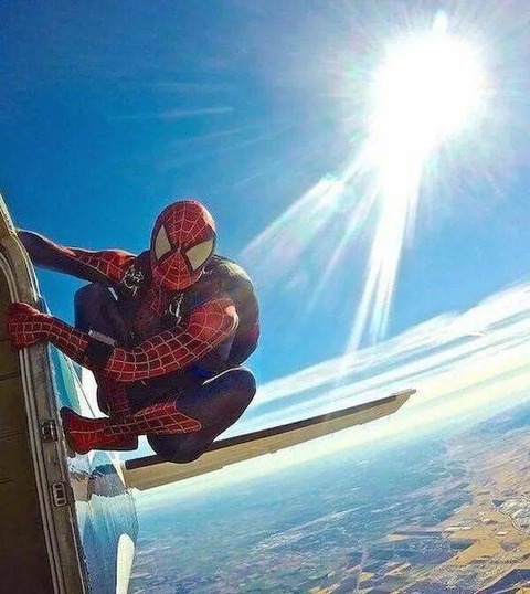 飛行機の外壁に蜘蛛が捕まってた！