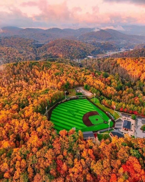 美しい山の紅葉と美しい野球のグランド