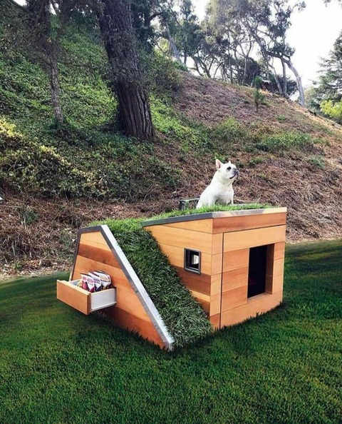 モダンで素敵な犬小屋ｗ！！