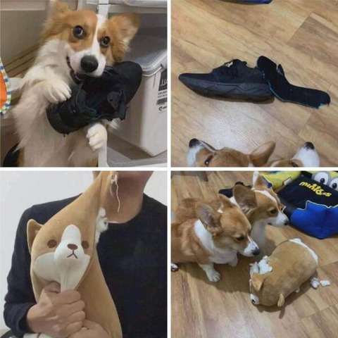 イタズラわんこに仕返ししてやったｗ！！