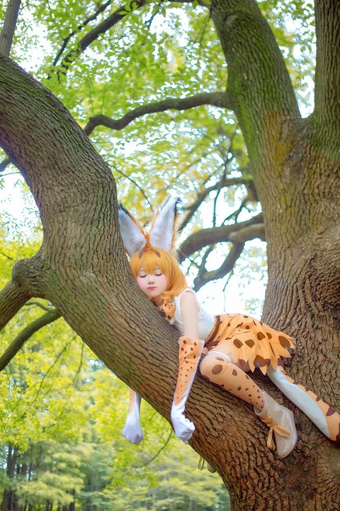 有名コスプレーヤーのけものフレンズ (4)