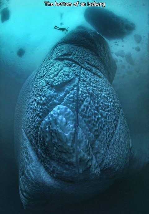 流氷の“下の部分”はこんな風になっていた…