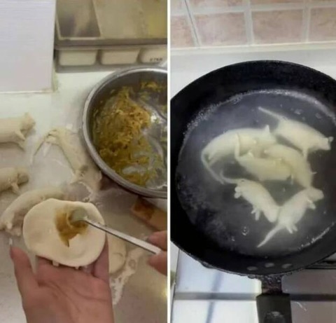 動物の形で包んで餃子みたいなアイデア
