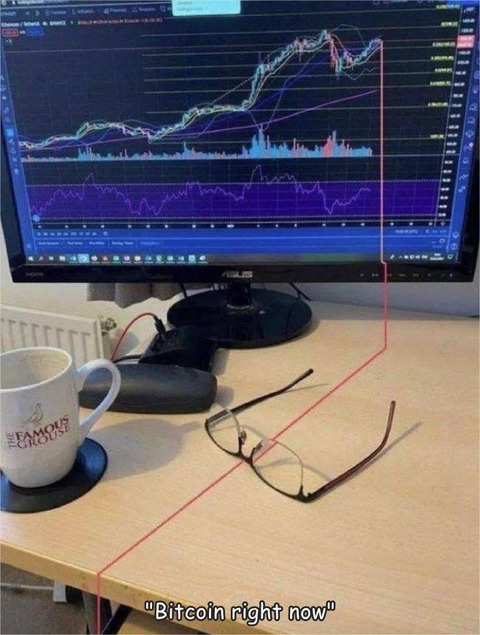 これがビットコインの大暴落のチャートだ！