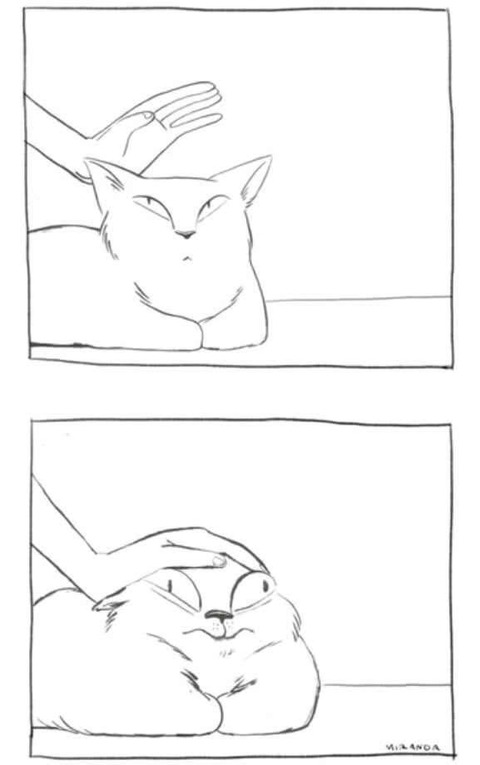 funny_picdump_1038_640_high_33