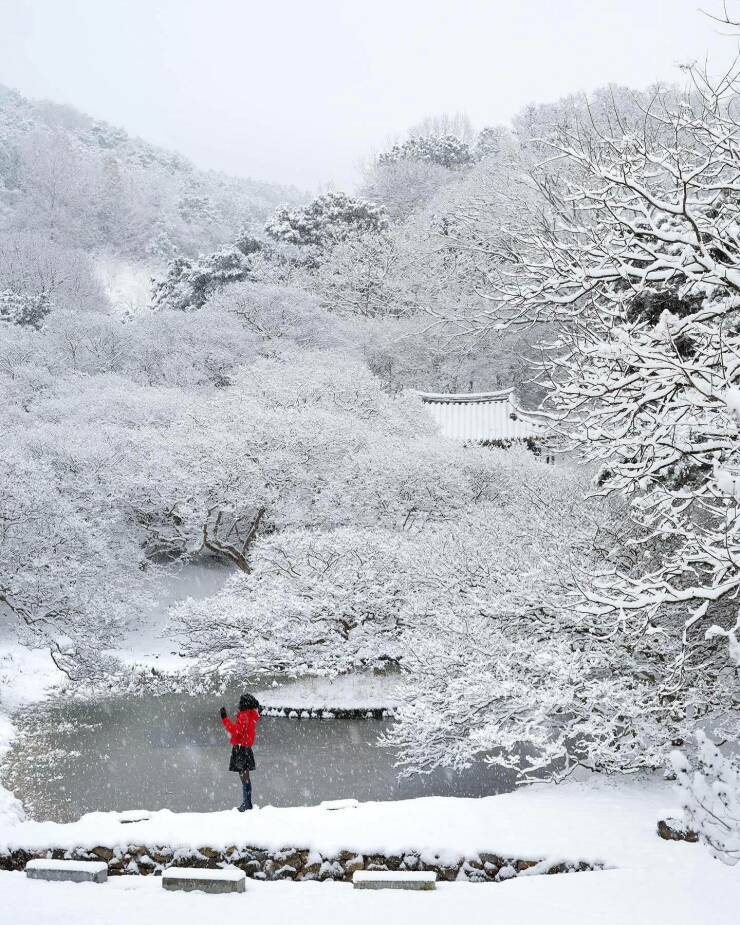 【画像】雪景色の日本の画像が美しすぎる！！