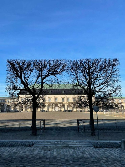 ビシッと綺麗なスクエアを出す枯れ木！！