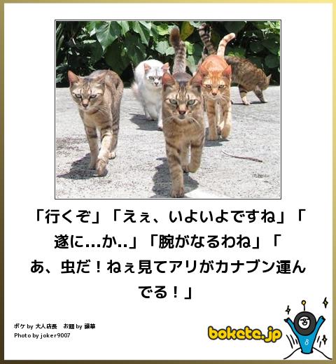 ネコの出発の新画像とネコのヤクザの組織図 ネタ画像 Com