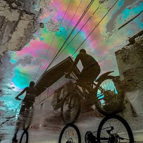 汚い水溜まりに写った綺麗な写真