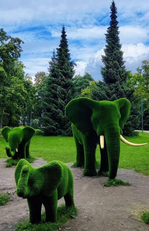 ゾウの植木が凄いｗ！！