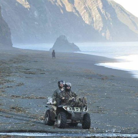 バギーで浜辺を行く人たちを見送るクマ…。