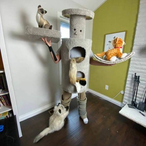 自らがキャットタワーになったコスプレ…！？