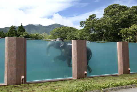 水とゾウ004