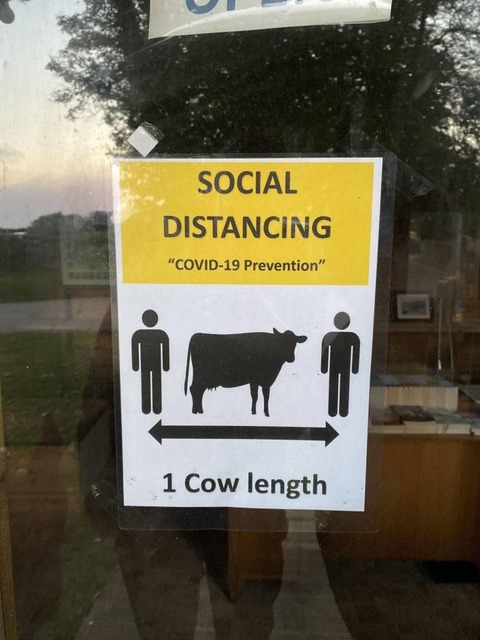 大体ウシ一頭分の間隔を開けろ！