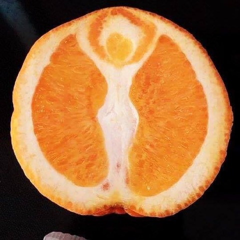 テレマークのオレンジ