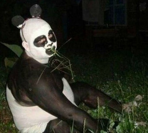 そこら辺の草を食べるパンダが発見される…