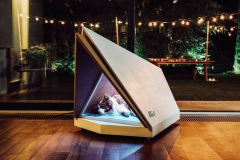 今どきの犬小屋