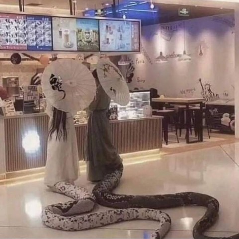 シッポが出ちゃってるアナコンダの妖精