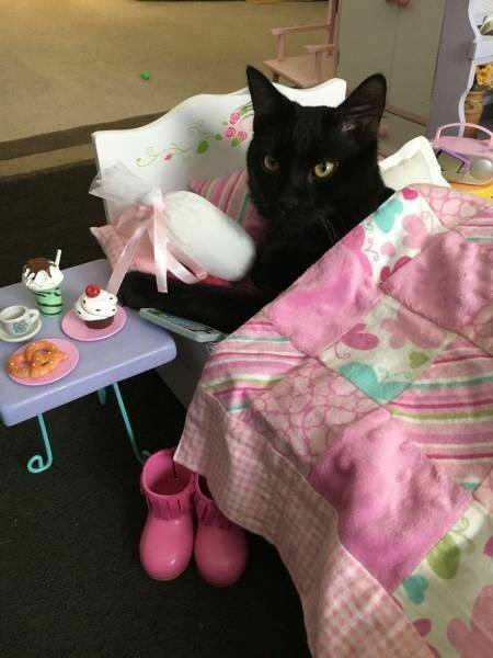 ベッドで朝食をとるクロネコ