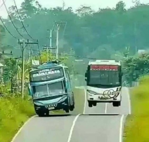 躍動感のあるバスの競い合い