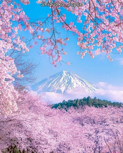 日本の静岡の風景が凄いｗ！！