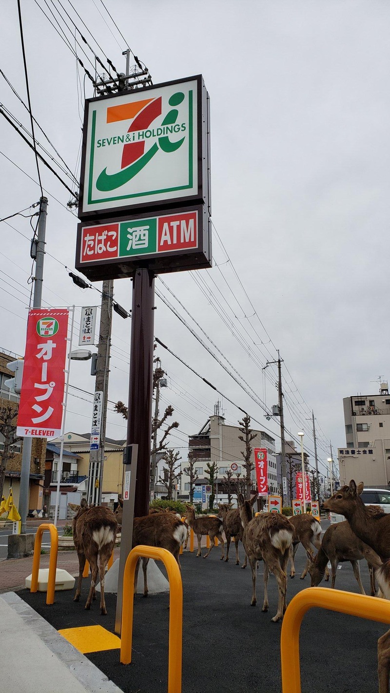 【画像】奈良にセブンイレブンが出来るとこうなる…。
