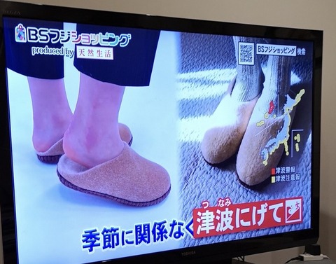 津波が来た時の警告文が見事にマッチ！？ (1)