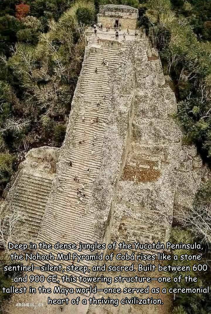 【画像】ユカタン半島にあるマヤ文明のピラミッド！！