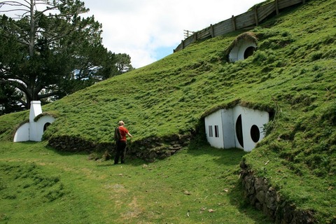 ニュージーランドの帆ビットの言え周辺に住む羊たち (4)