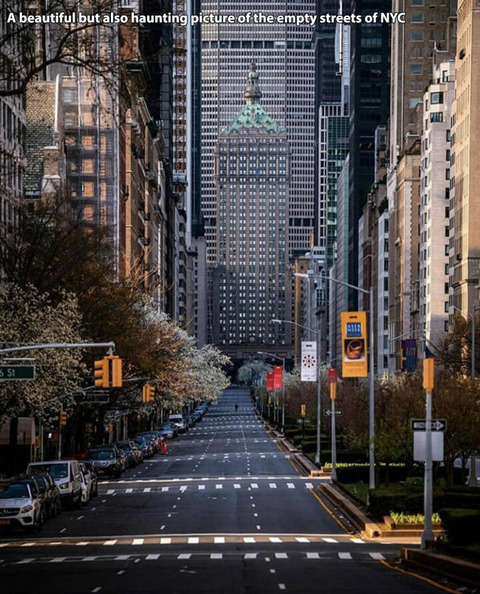 誰もいなくなったニューヨークの街並み ネタ画像 Com