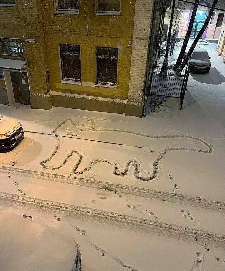 【画像】雪の日にネコの地上絵を描いたの誰ｗ！？