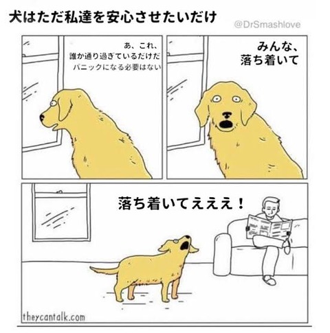 海外の猫ミーム？孤独な人生のメタファ。犬も2