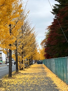 r05.11.5②運動公園