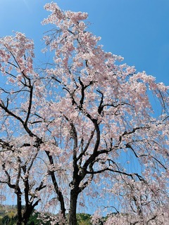 r06.4.21③市内ジョグ