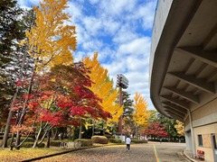 r05.11.5①運動公園