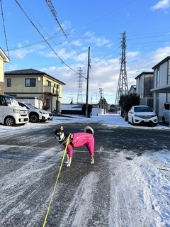 r05.12.25②メリクリ