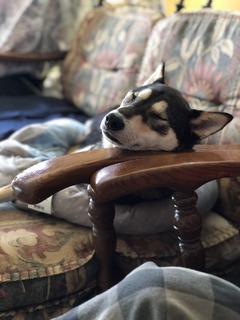 r05.5.27⑨ドライブ