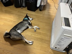 r05.12.25①メリクリ