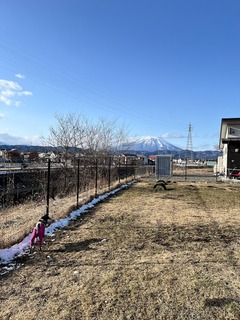 r06.2.24㉑ドッグラン