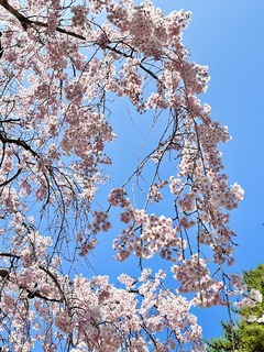 r06.4.21④市内ジョグ