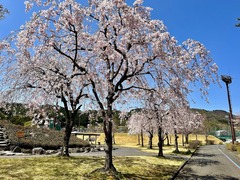 r06.4.21②市内ジョグ